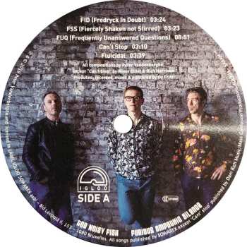 LP Too Noisy Fish: Furious Empathic Silence