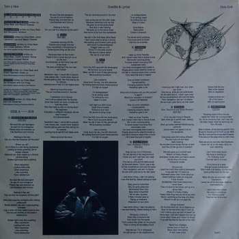 LP Toro Y Moi: Hole Erth CLR | LTD