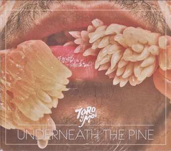 CD Toro Y Moi: Underneath The Pine