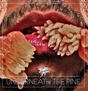 LP Toro Y Moi: Underneath The Pine