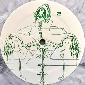 LP Tortoise: Tortoise LTD | CLR