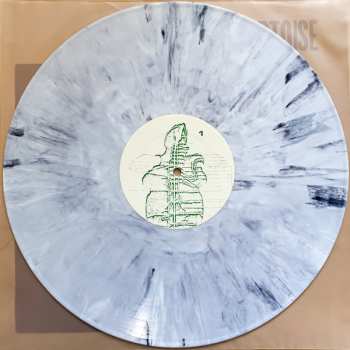 LP Tortoise: Tortoise LTD | CLR