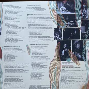 LP Town Mountain: Lines In The Levee CLR | LTD