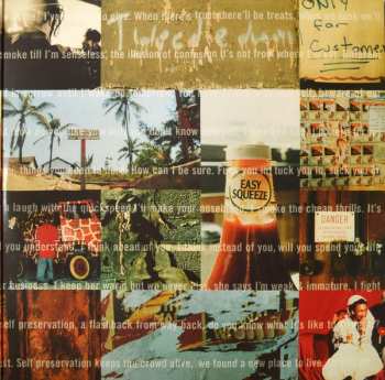 LP Tricky: Maxinquaye