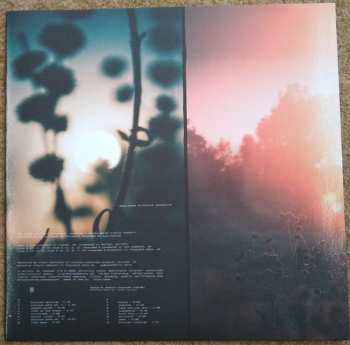 LP Travis Stewart: Elysian