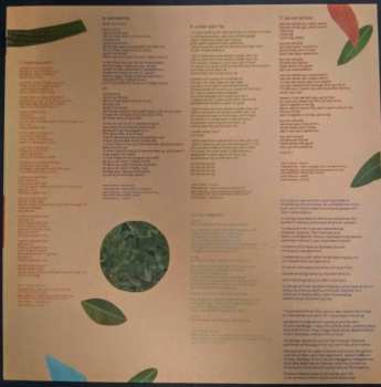 LP Tune-Yards: Sketchy. LTD | CLR