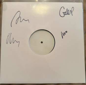 LP Turin Brakes: Spacehopper