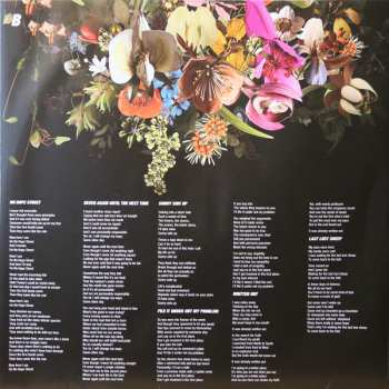 LP TV Smith: Land Of The Overdose