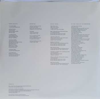 LP Twain: Adventure CLR | LTD