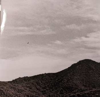 LP Ty Segall: "Hello, Hi"