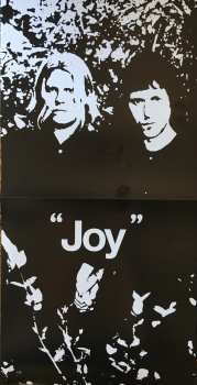 LP Ty Segall: Joy