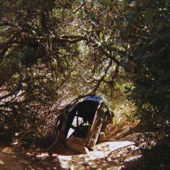 CD Ty Segall: Possession