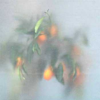 LP µ-Ziq: Secret Garden  LTD | CLR