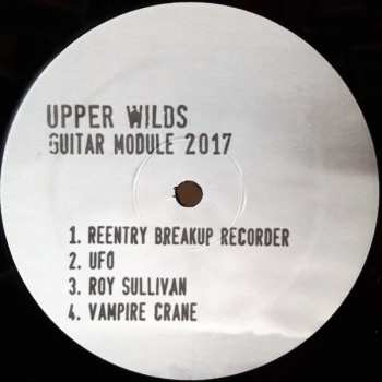 LP Upper Wilds: Guitar Module 2017