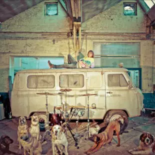 Chien D'La Casse