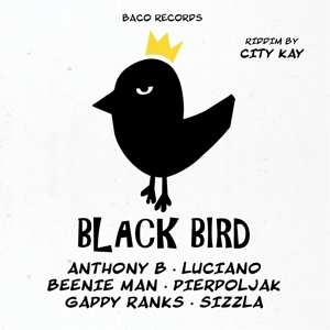 LP Various: Black Bird Riddim By City Kay LTD