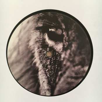 LP Vanessa Wagner: [Inland] Versions