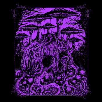 CD Vanhelga: Enfin Morte LTD | DIGI