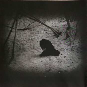 CD Vardan: Winter Woods