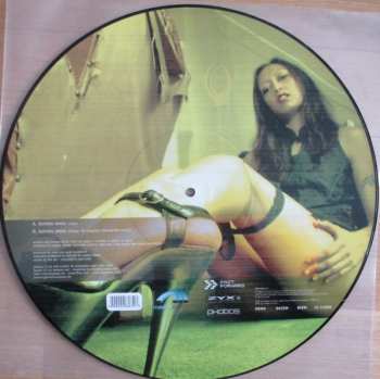 5LP/Box Set Various: 12" Collector's Picture Disc Box LTD | PIC