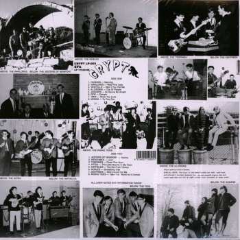 LP Various: Back From The Grave Volume 5