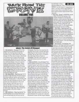 LP Various: Back From The Grave Volume 5