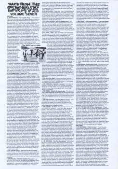 2LP Various: Back From The Grave Volume 7