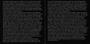 2CD Various: Bottleneck Blues Wizards