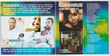 2CD Various: Bravo Hits 33