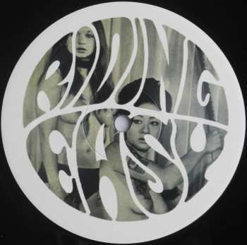 LP Various: Brown Acid: The Ninth Trip (Heavy Rock From The Underground Comedown)