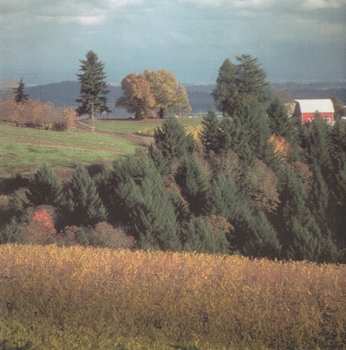 CD Various: Country Písničky ... Z Rádia 2