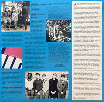 2LP Various: D-I-Y Do It Yourself CLR