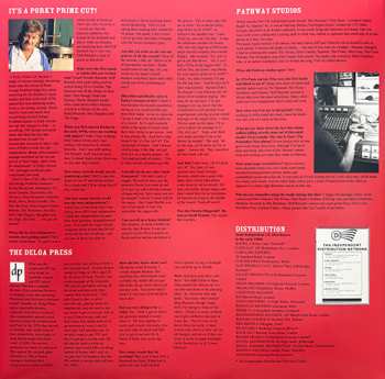 2LP Various: D-I-Y Do It Yourself CLR