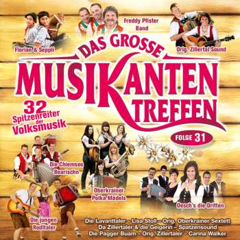 Album Various: Das Große Musikantentreffen Folge 31