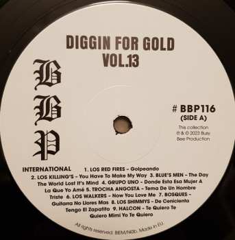 LP Various: Diggin' For Gold Vol 13 (A Collection Of Demented 60' R&B/Punk & Mesmerizing Pop.) LTD