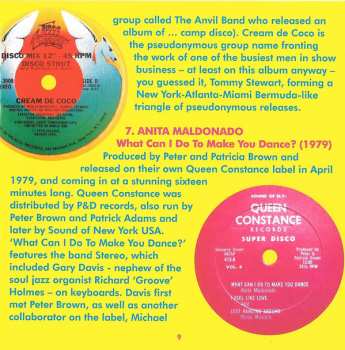 2CD Various: Disco 2 (A Further Fine Selection Of Independent Disco, Modern Soul & Boogie 1976-80)