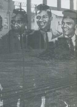 LP Various: Eccentric Soul: The Tammy Label