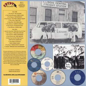 LP Various: Last Of The Garage Punk Unknowns Vol.3