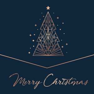 2LP Various: Merry Christmas 
