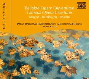 CD Various: Naxos Selection: Beliebte Opern-ouvertüren