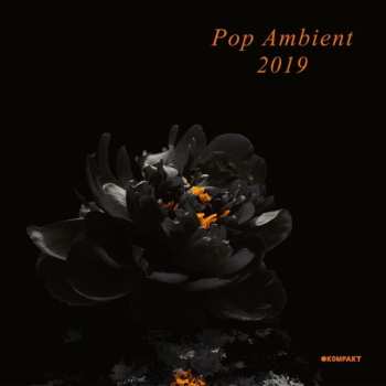 CD Various: Pop Ambient 2019