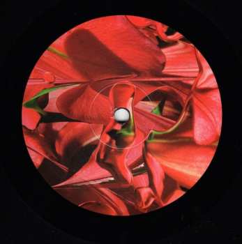 LP Various: Pop Ambient 2021