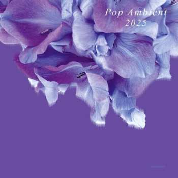 LP Various: Pop Ambient 2025 CLR | LTD | NUM
