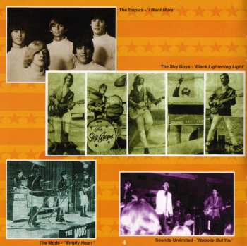 CD Various: Psychedelic States: Florida In The 60s Vol. 2