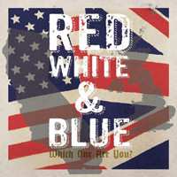 2SP Various: Red White & Blue - Which One Are You? CLR | LTD