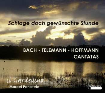 Album Various: Schlage Doch Gewünschte Stunde - Kantaten Zum Thema Tod
