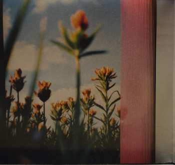 2LP Various: The Best Of Nine Inch Nails (Redux)