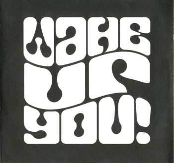 CD Various: Wake Up You! The Rise And Fall of Nigerian Rock 1972-1977 Vol. 2