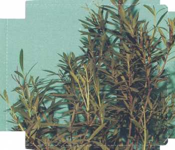 CD Vec: Ultrazvuk