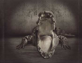 CD Vega: Grit Your Teeth